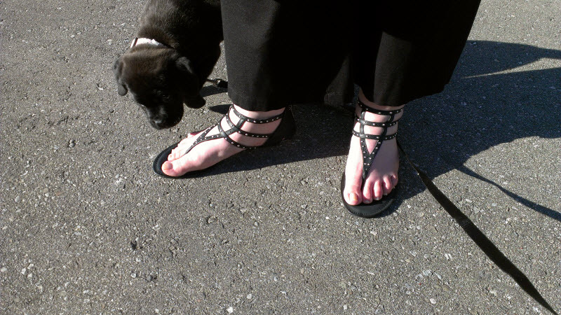 JustFab.ca Corfu Sandals JustFab.ca Corfu Sandals