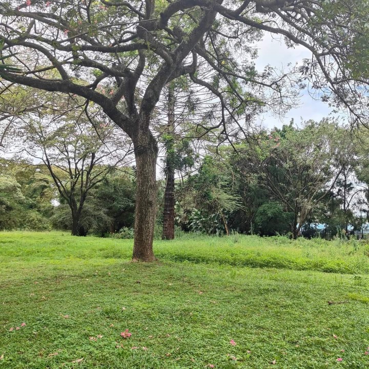 Prime 4.9-Acre Land Parcel for Sale in Ring Road Kilimani, Nairobi