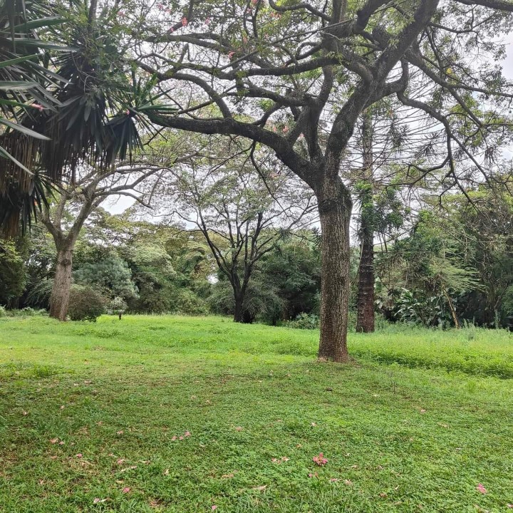 Prime 4.9-Acre Land Parcel for Sale in Ring Road Kilimani, Nairobi