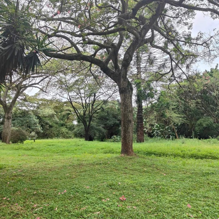 Prime 4.9-Acre Land Parcel for Sale in Ring Road Kilimani, Nairobi