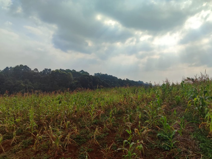 Prime 56-Acre Land for Joint Venture on Kiambu Road