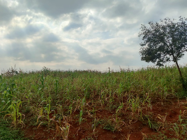 Prime 56-Acre Land for Joint Venture on Kiambu Road