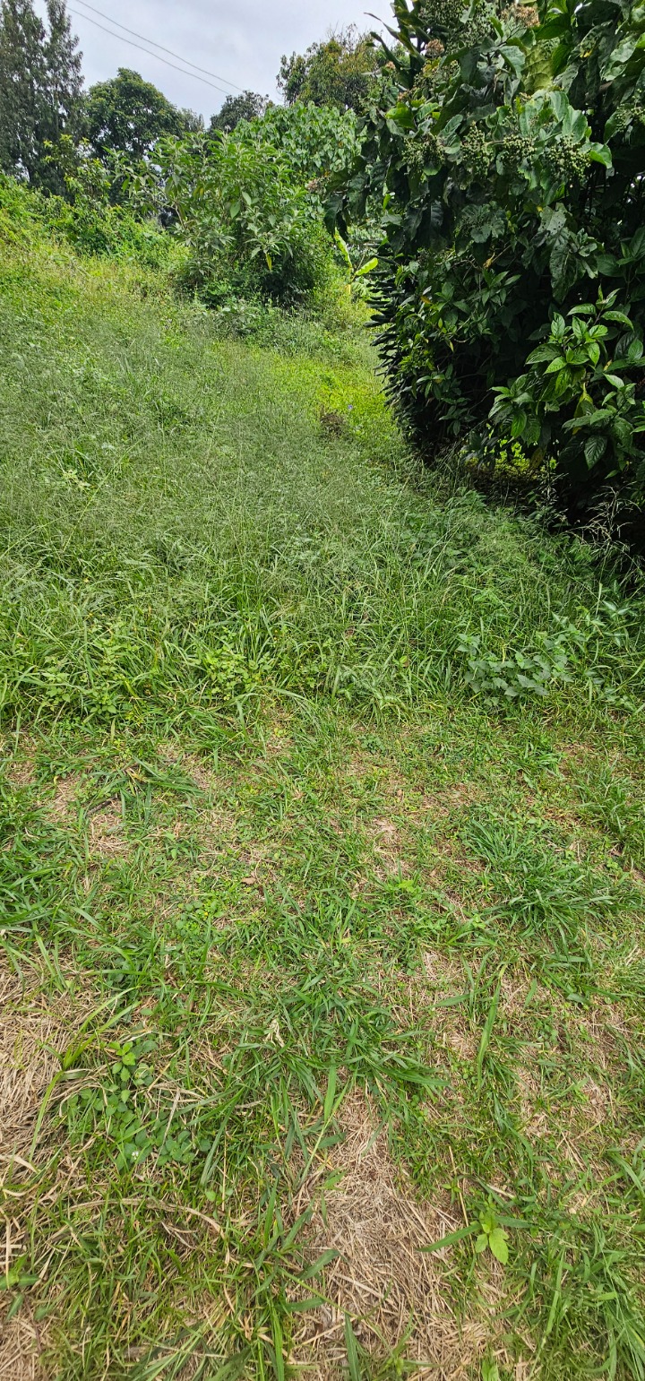 3 ACRES FOR JOINTVENTURE IN MWAMUTO KIAMBU COUNTY 
