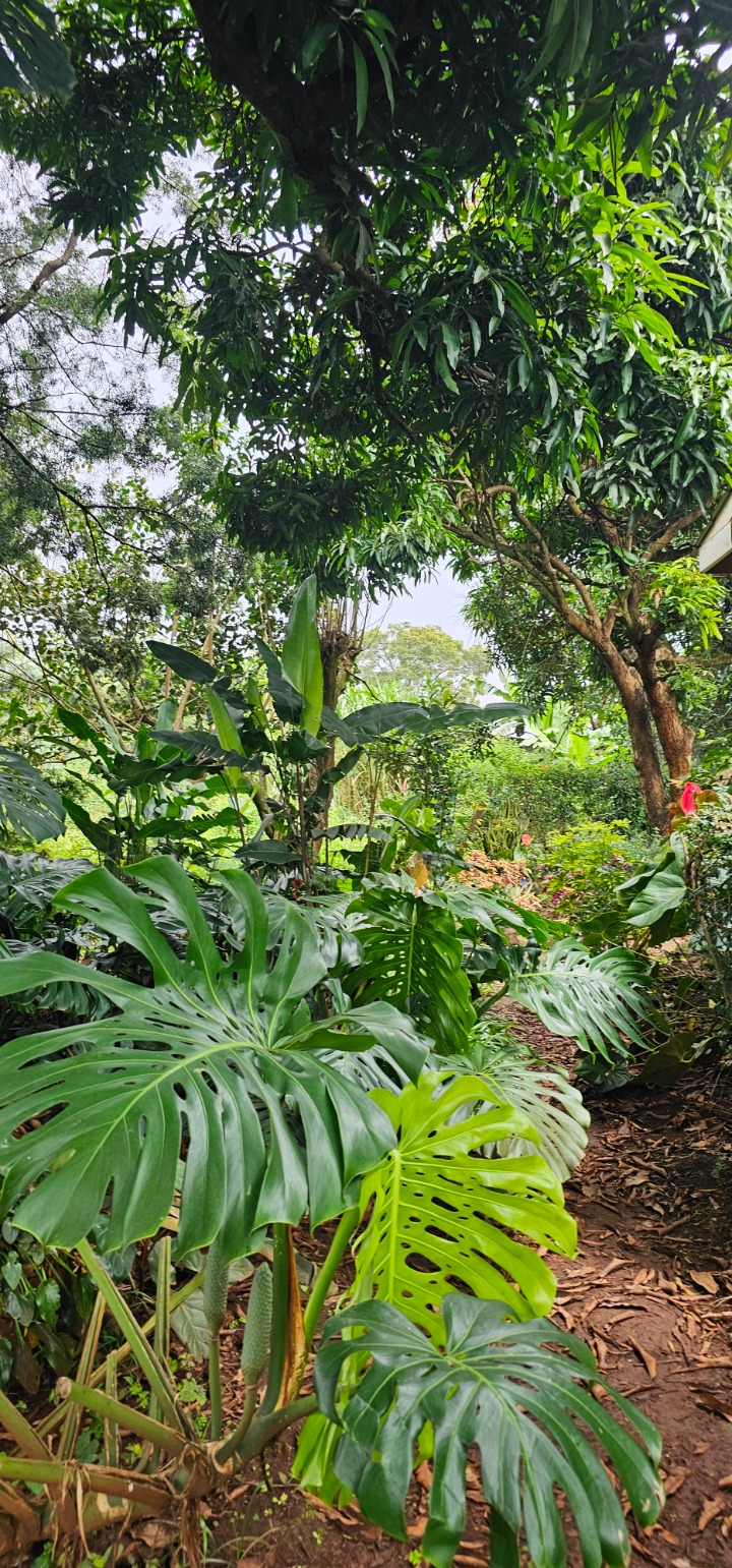 3 ACRES FOR JOINTVENTURE IN MWAMUTO KIAMBU COUNTY 