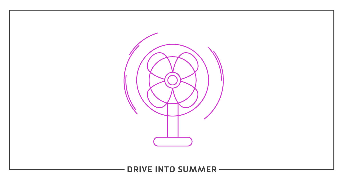 Drive Into Summer | How to Keep Your Biggest Fans Happy