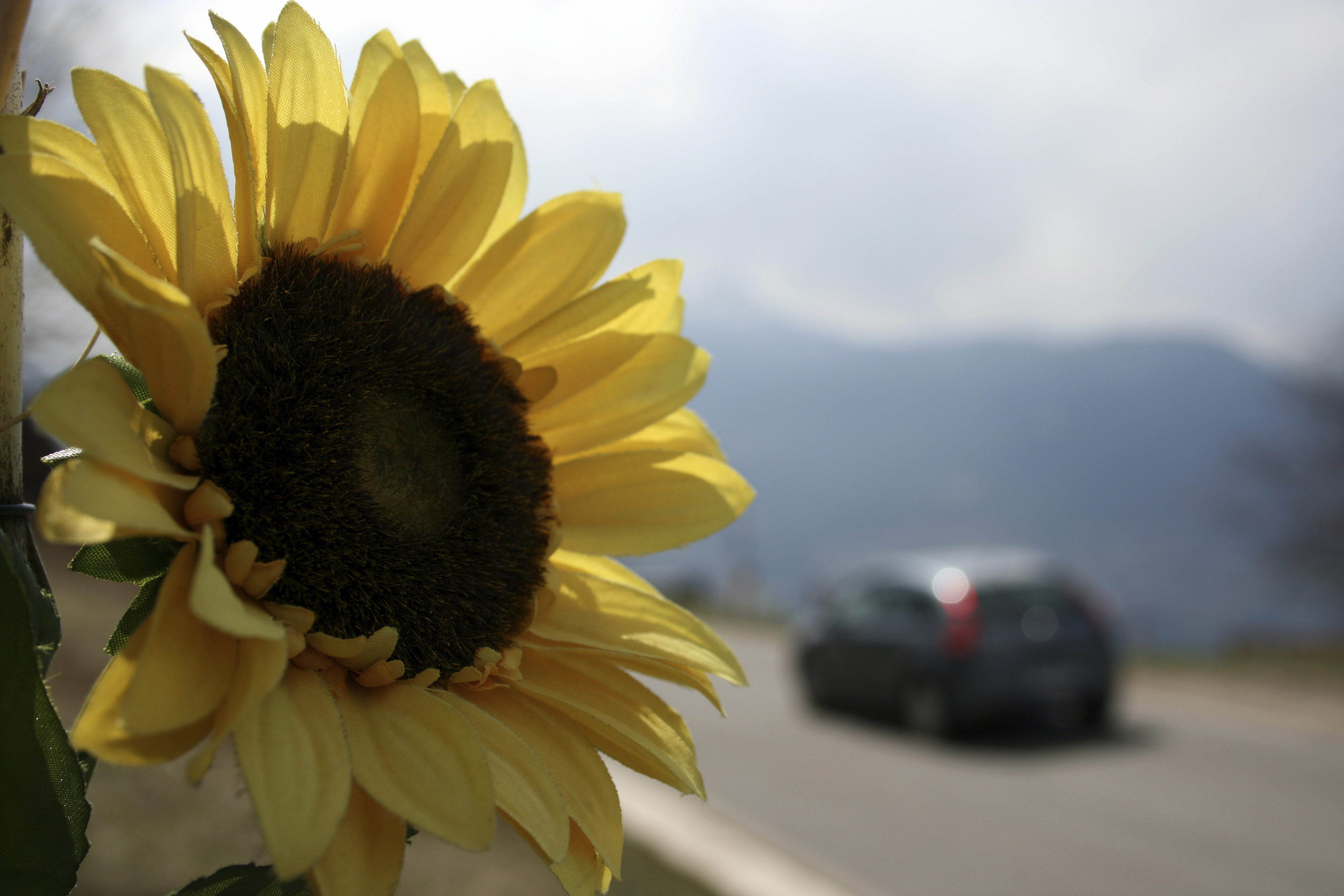 Get Your Getaround Saturday Spring Bonus!