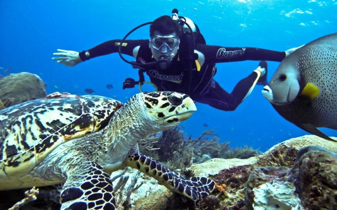 Andaman scuba diving