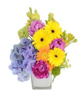 Hydrangeas with Gerberas Centerpiece