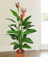 Artificial Bird of paradise Plants 4 Ft