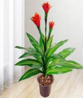 Artificial 75cm Height Ginger Flowers 3 Sprays