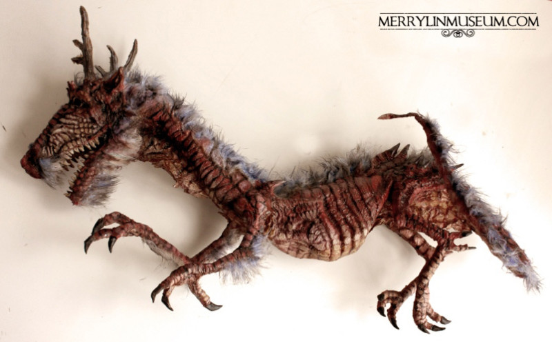 The Mythical Specimens of Thomas Merrylin - Girly Design Blog