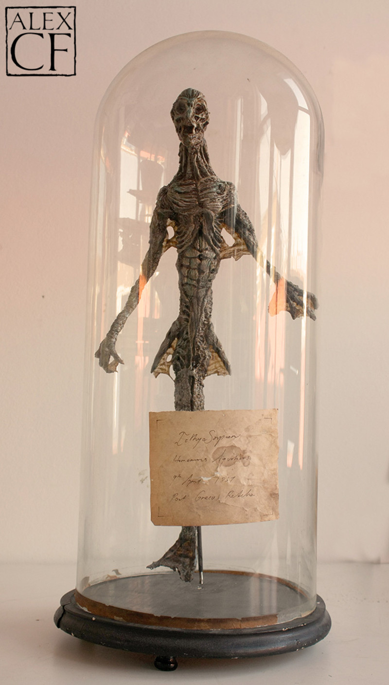 The Mythical Specimens of Thomas Merrylin - Girly Design Blog
