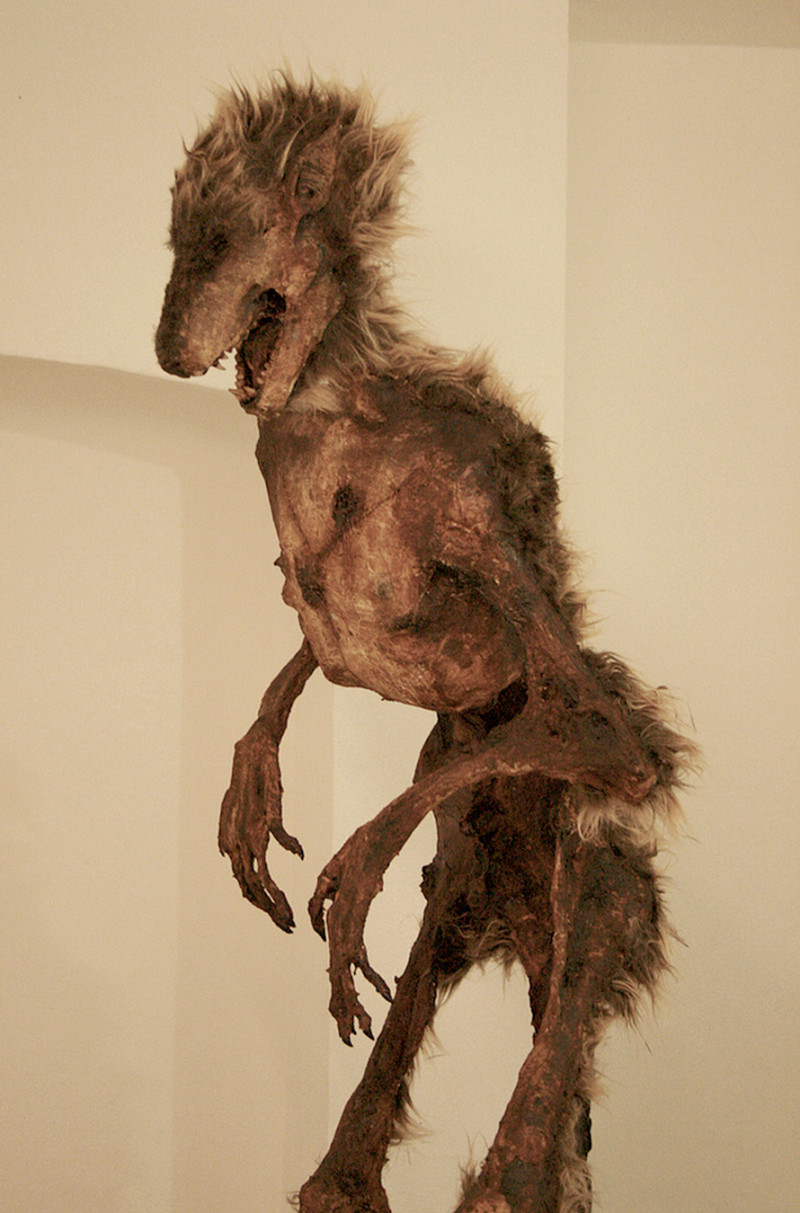 The Mythical Specimens of Thomas Merrylin - Girly Design Blog