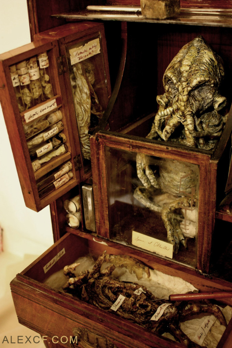 The Mythical Specimens of Thomas Merrylin - Girly Design Blog
