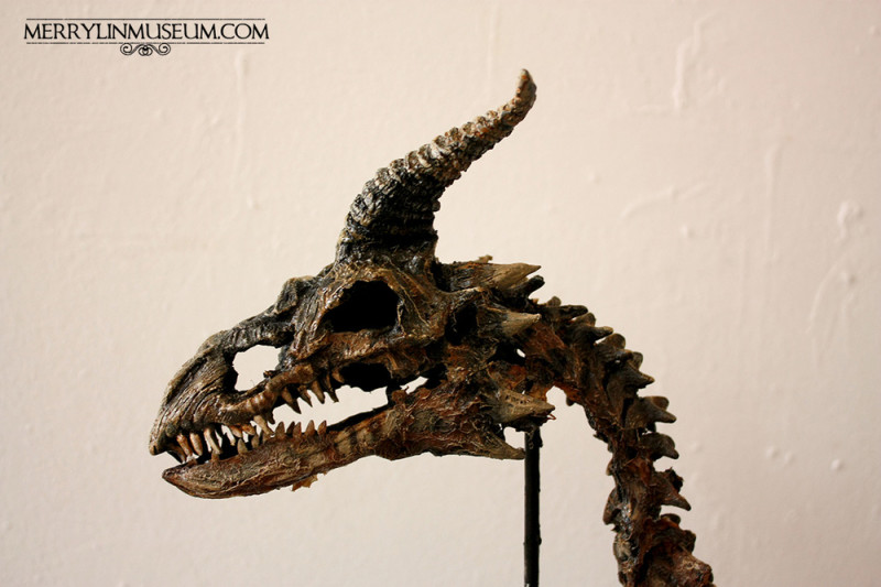 The Mythical Specimens of Thomas Merrylin - Girly Design Blog