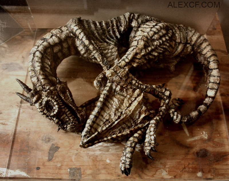 The Mythical Specimens of Thomas Merrylin - Girly Design Blog
