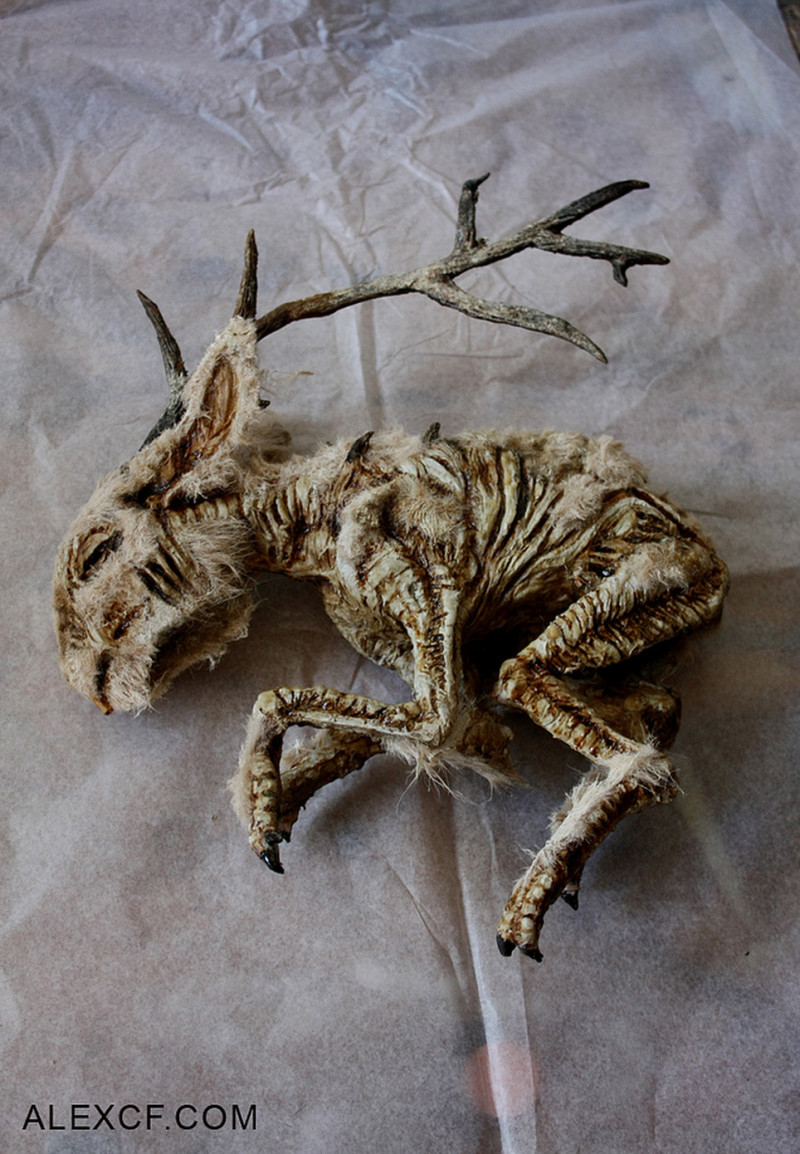The Mythical Specimens of Thomas Merrylin - Girly Design Blog