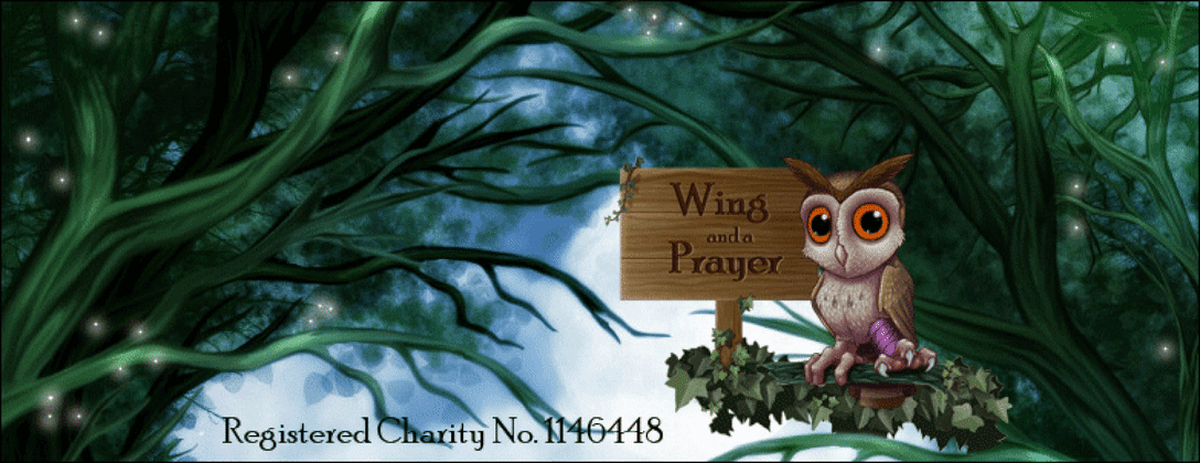 wing and a prayer, wild bird and owl .