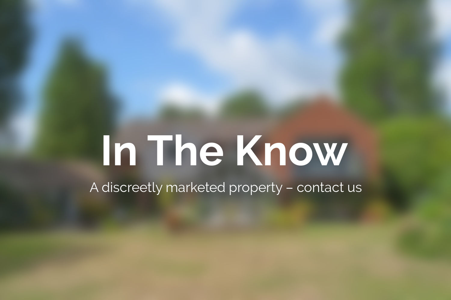 In The Know Property image