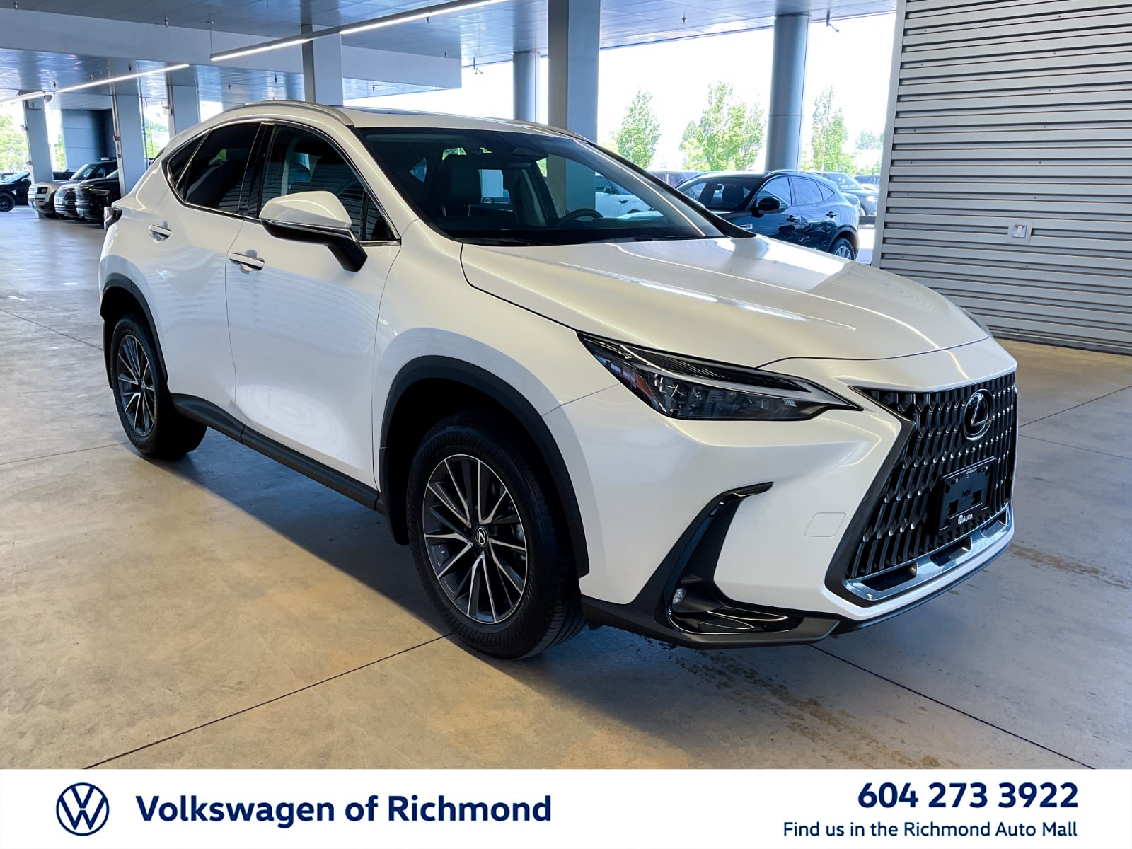 2024 Lexus NX NX 350h, Vancouver, Cash