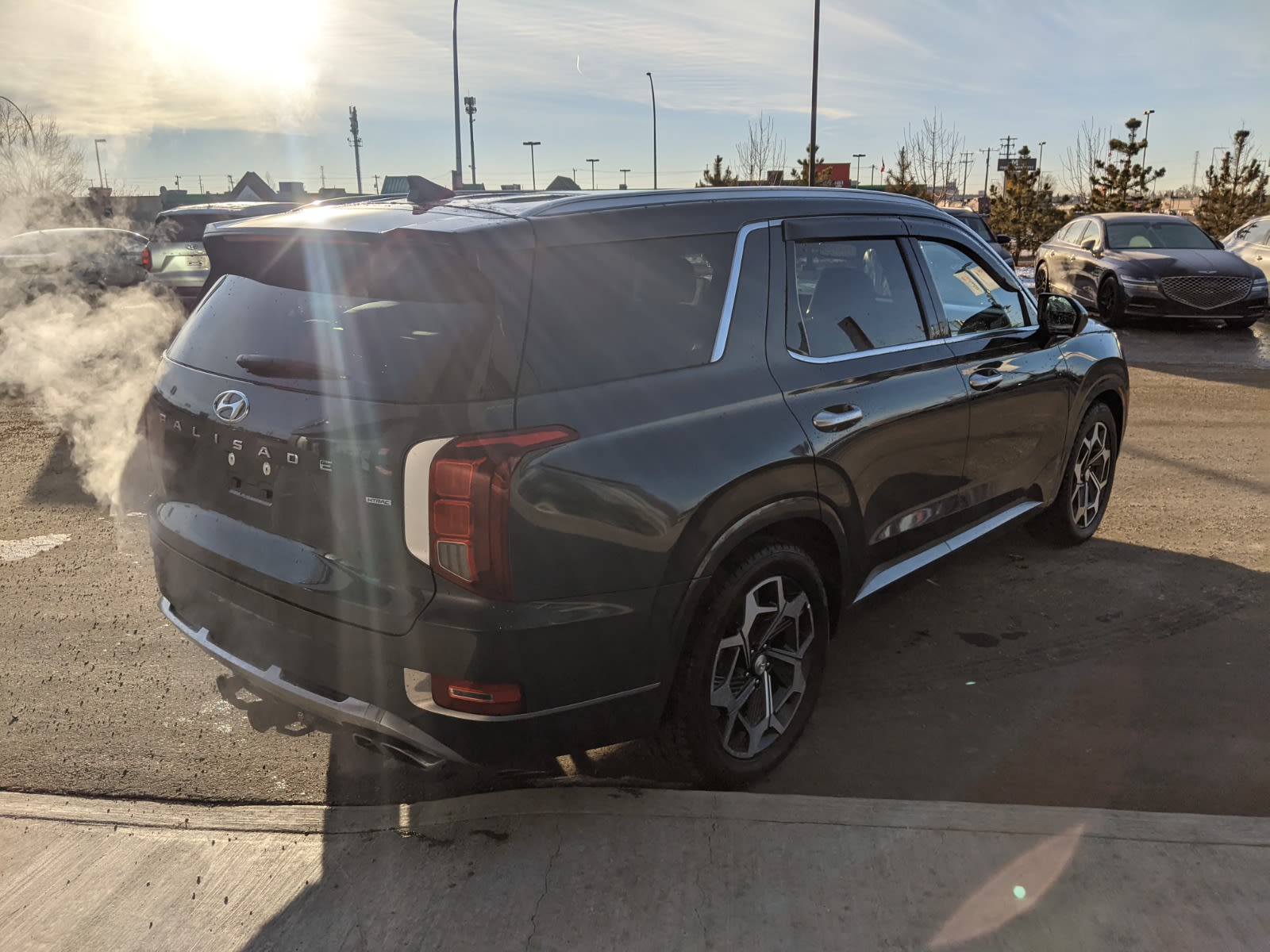 2022 Hyundai Palisade Ultimate Calligraphy | Edmonton Motor Dealer ...