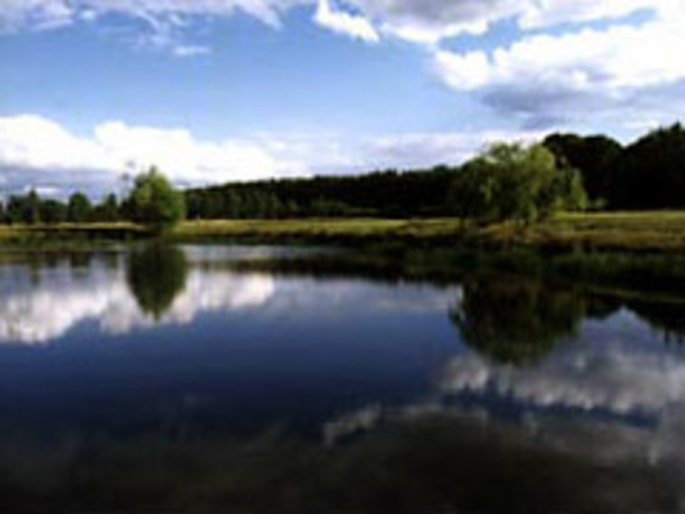 The Essex Golf & Country Club, Essex Book a golf break or golf holiday