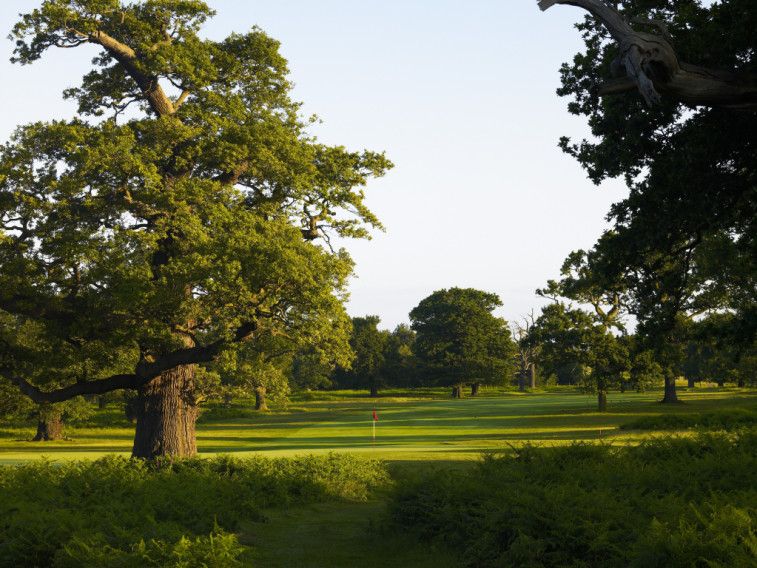 Book a golf break to Forest of Arden Golf Course, Warwickshire