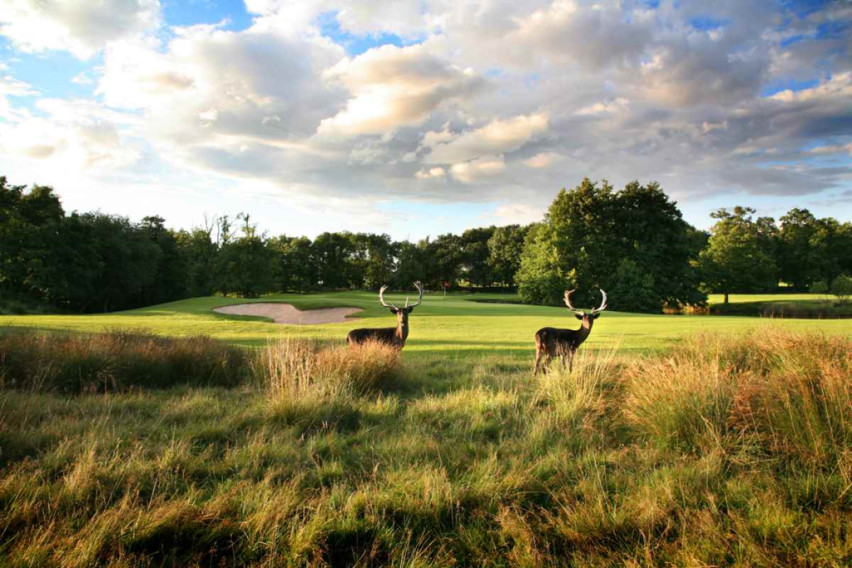 Book a golf break to Forest of Arden Golf Course, Warwickshire