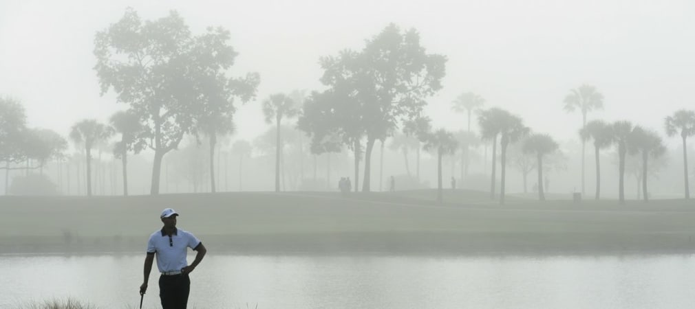 Tiger Woods