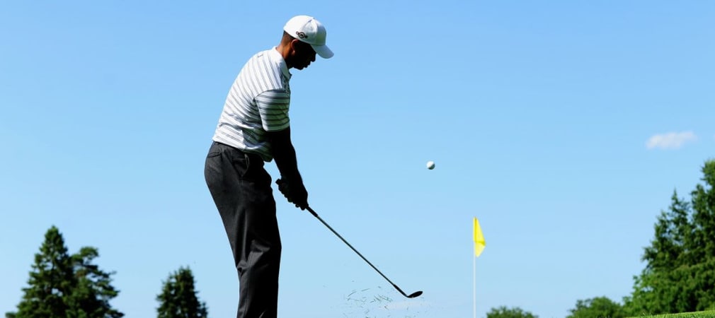 Tiger Woods chippt