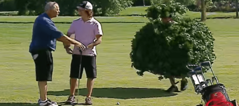 Loser hinderlicher Naturstoff oder bewegliches Hemmnis? Den Golfer wird's auf jeden Fall ärgern - und uns amüsiert's! (Foto: Youtube)