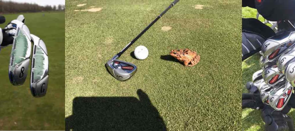 Die drei Golf Post Produkttester haben die Wilson Staff D300 Eisen über mehr als vier Wochen lang auf Herz und Nieren getestet. (Foto: Golf Post)