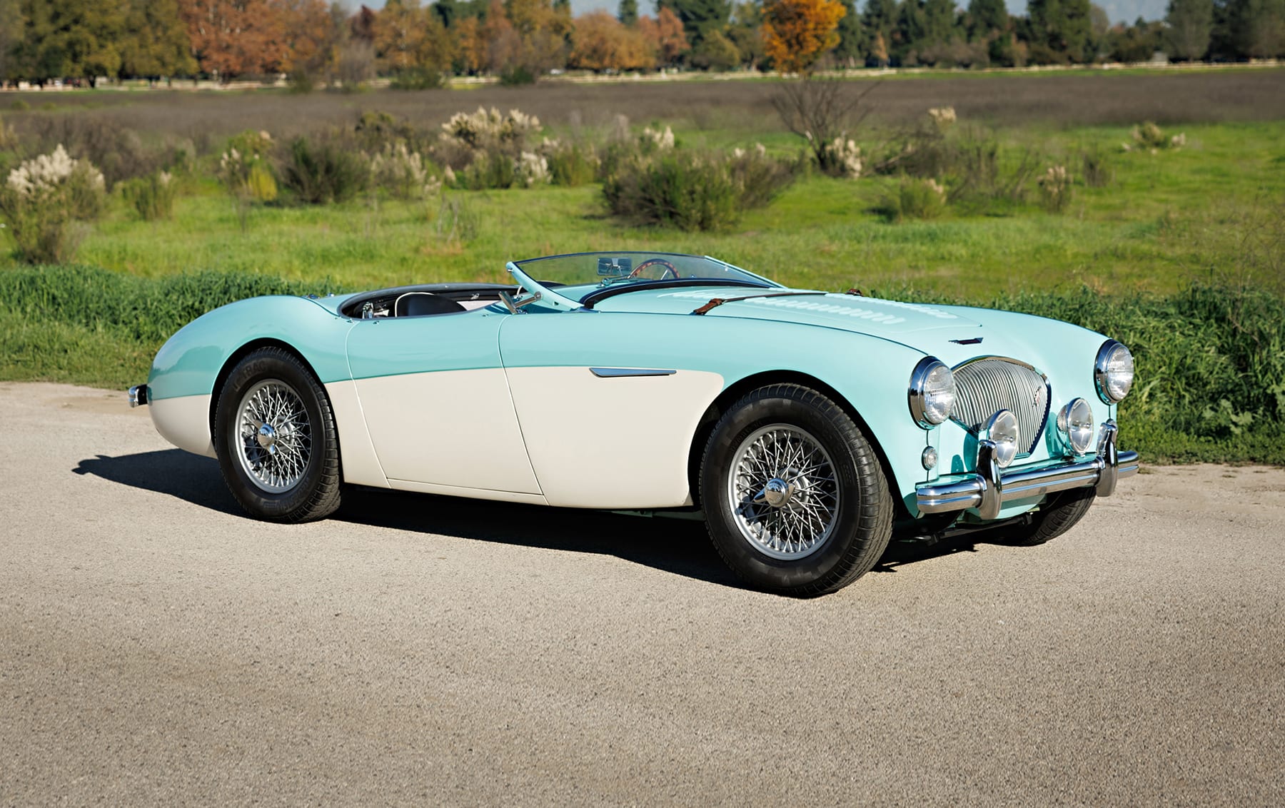 1956 Austin-Healey 100M