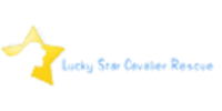 Lucky Star Cavalier Rescue