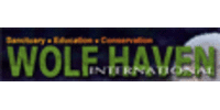 Wolf Haven International