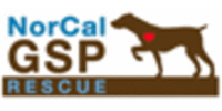NorCal GSP Rescue