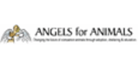 Angels for Animals