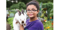 Massachusetts 4-H Youth Development Online Auction