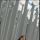 Aisha