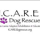 Icare