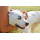 Meriden Humane