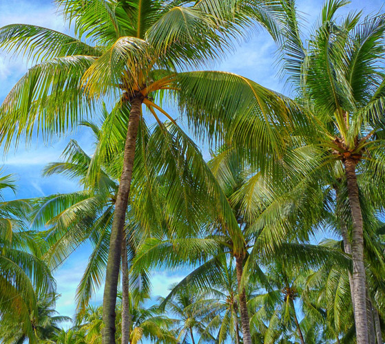 Apple-Vacations_Caribbean-Vacations_Last-Minute-Caribbean-Cruise-Deals