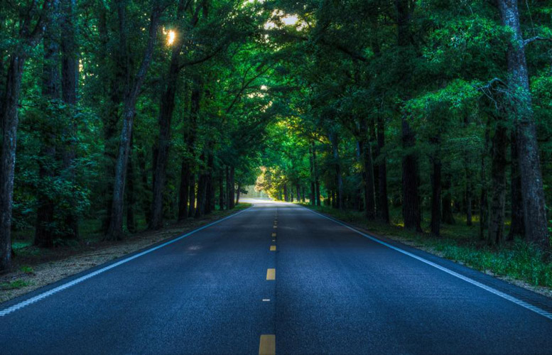 Priceline_Car-Rental_Last-Minute-Rental-Cars-Across-the-Nation