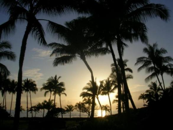 United-Airlines_Hawaii-Vacations_Maui-Oceanfront-Getaways-w/Air-Marked-Down