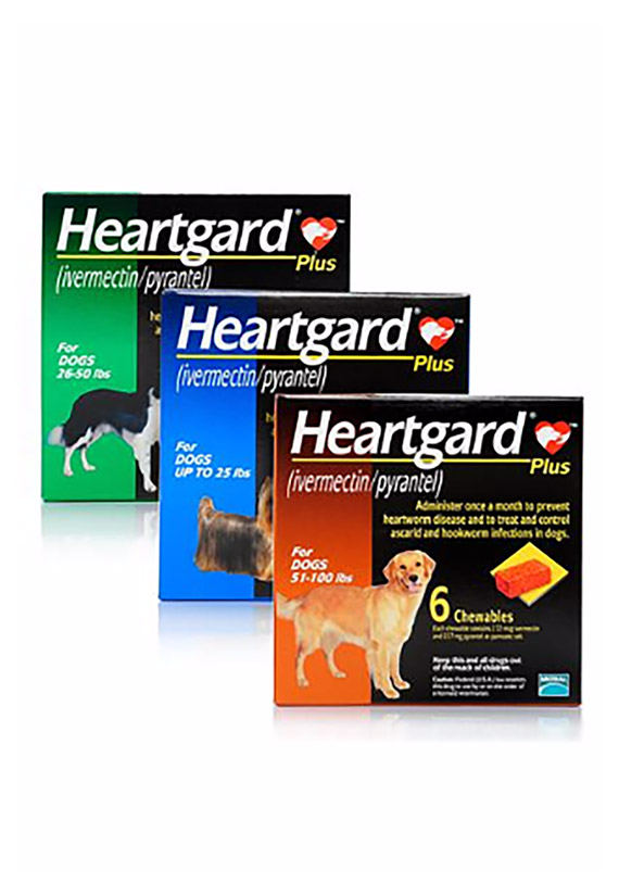 Animal Health & Veterinary Medicine Packaging Company | Ameripac