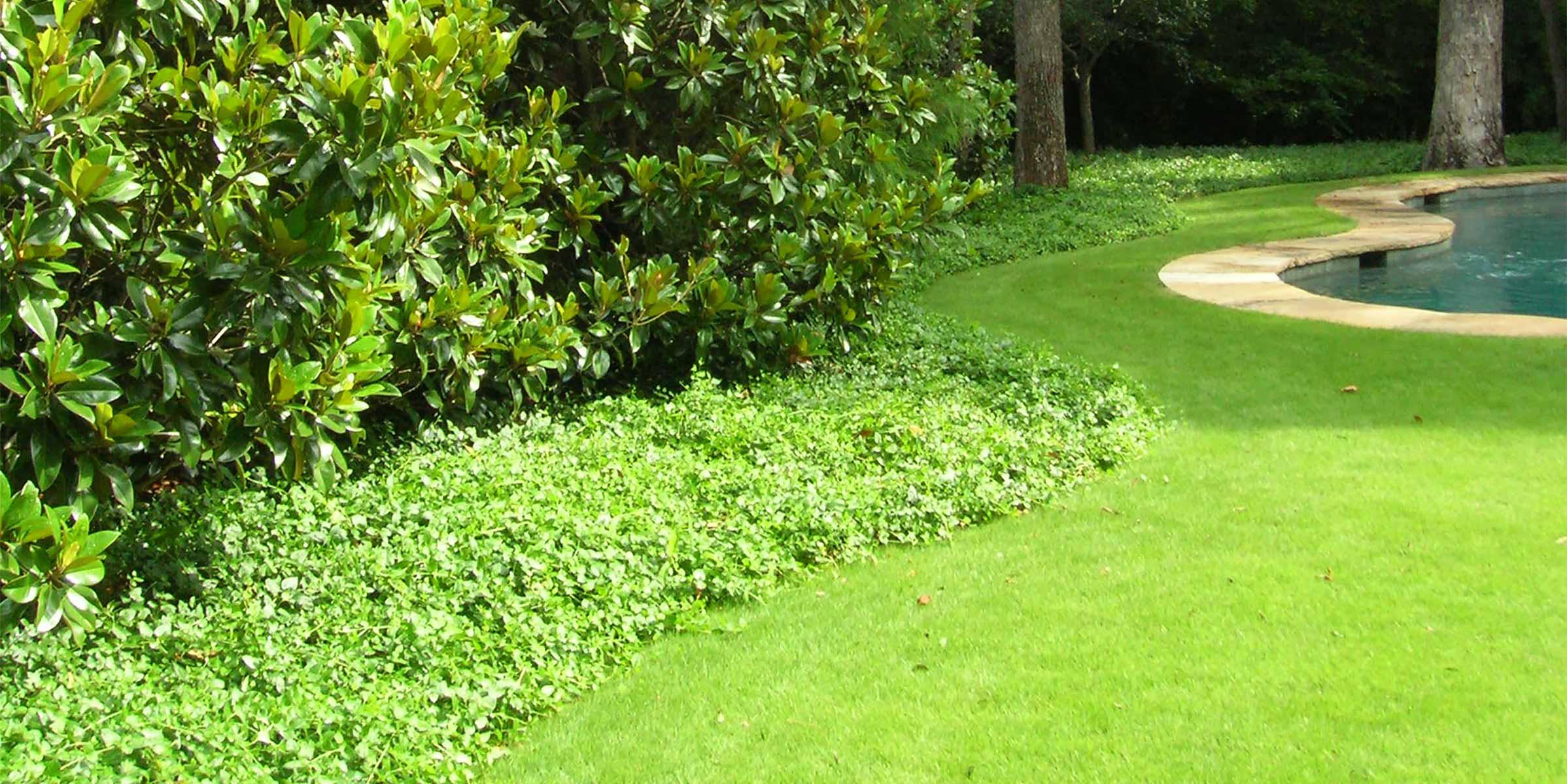Naturalistic Landscape Design Clint Horticulture Dallas TX Naturalistic Landscape Design Clint Horticulture Dallas TX