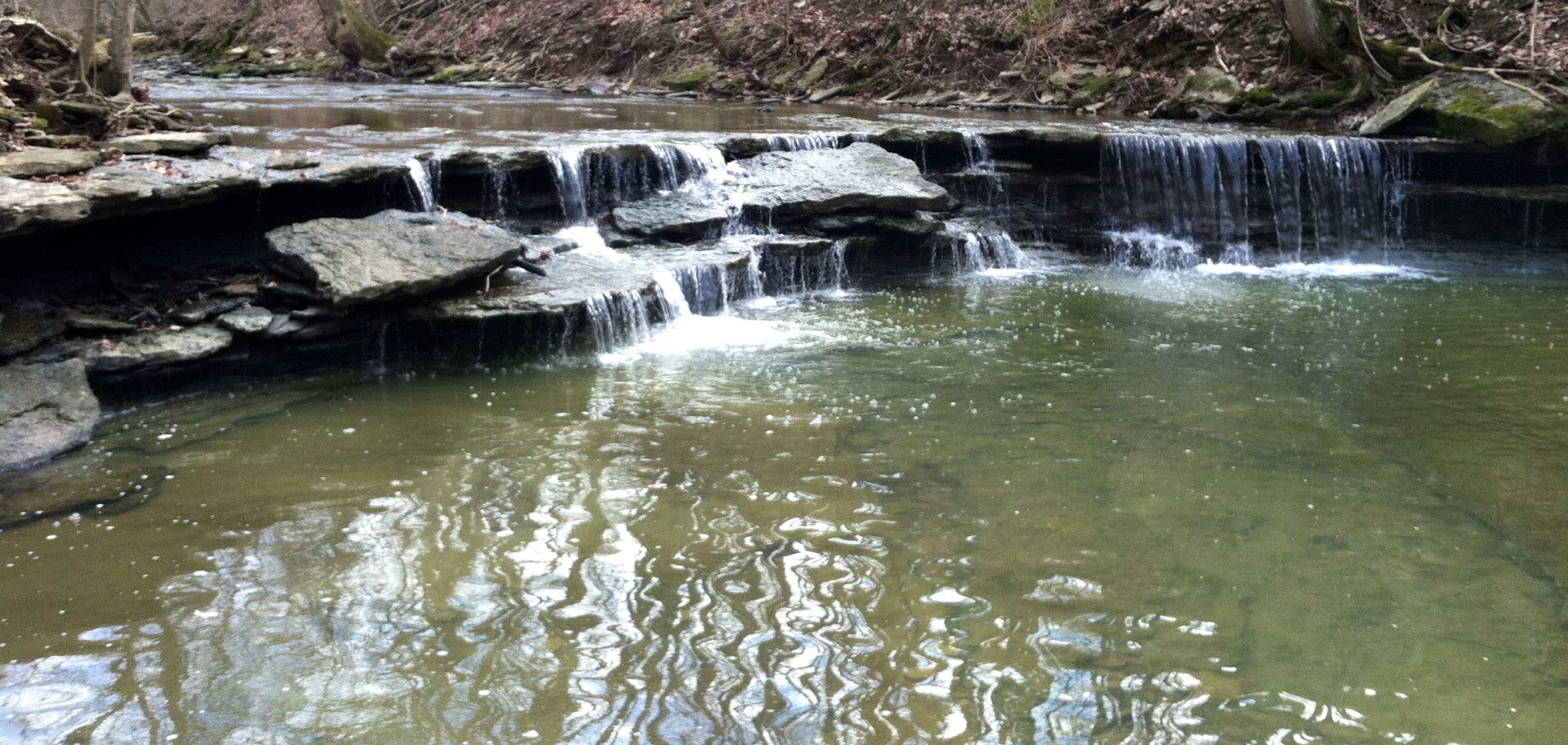 Newberry Wildlife Sanctuary Great Parks of Hamilton County
