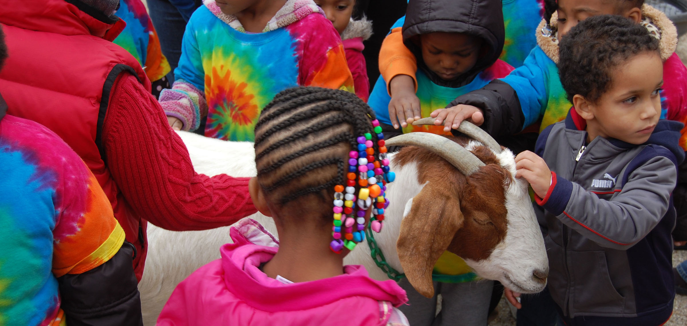 Parky's Farm Great Parks of Hamilton County