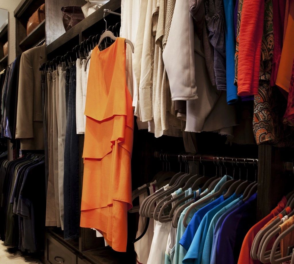 Organized Closet Preview 2