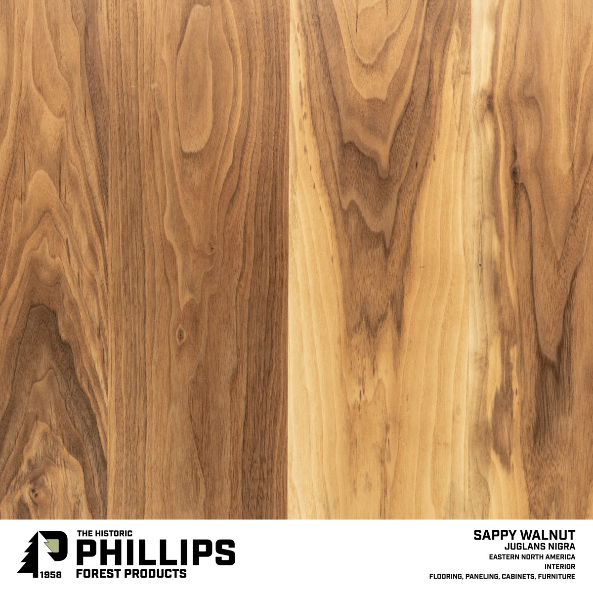 Solid Sappy Walnut Cutting Board - Moslow Wood Products (Virginia)